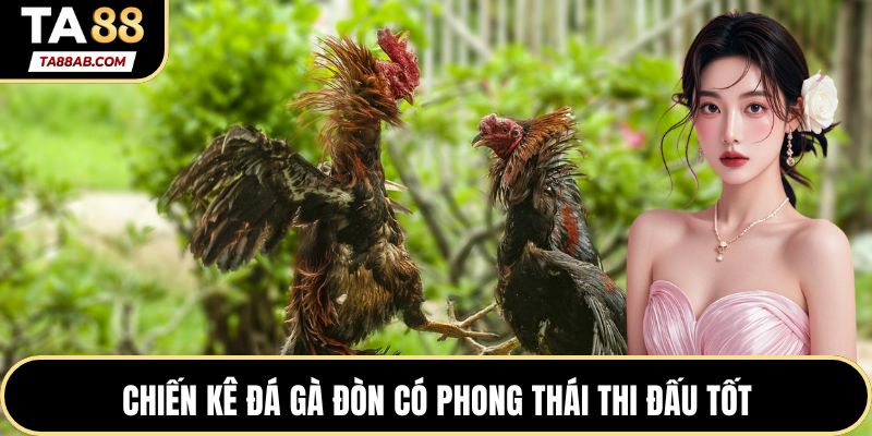 Chiến kê đá gà đòn có phong thái thi đấu tốt