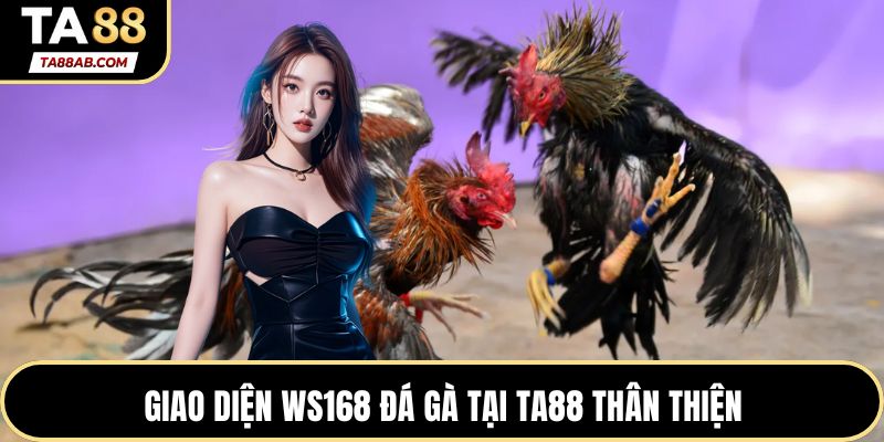 Giao diện WS168 Đá gà thân thiện