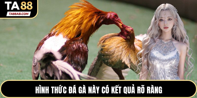Hình thức đá gà này có kết quả rõ ràng