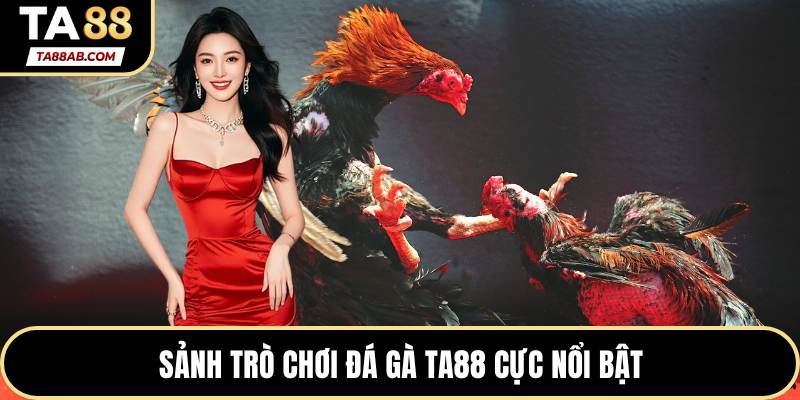 Sảnh trò chơi đá gà TA88 cực nổi bật