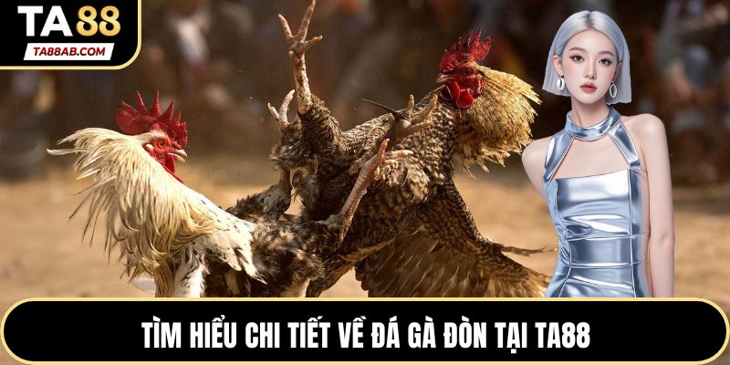 Tìm hiểu chi tiết về Đá gà đòn tại TA88