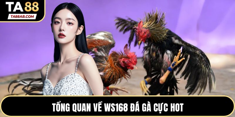 Tổng quan về WS168 Đá gà cực hot