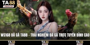 WS168 đá gà